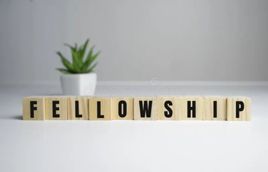 SeizFire Short-Term Certified Fellowships for Physicians and Biomedical Scientists